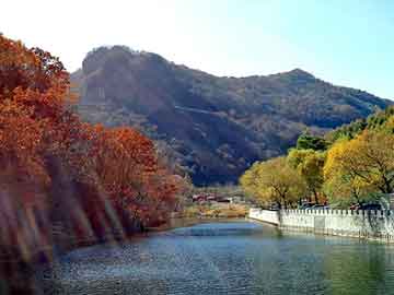 樟树吃了保胎药打胎会不孕吗（吃了保胎药打胎会不孕吗会流产吗）